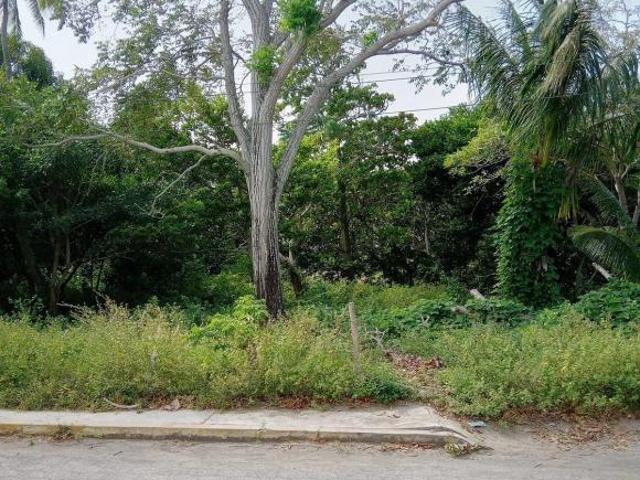 Terreno en venta en Veracruz en calle Principal a Playa en el Zapote