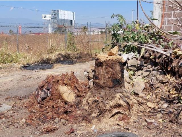 Terreno en venta en Vicente Guerrero, Cuautla, Morelos