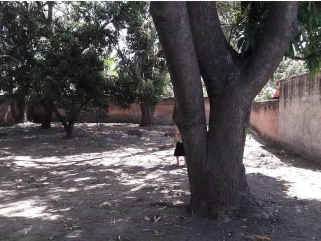 Terreno en venta en Villa de Alvarez Centro, Villa de Álvarez, Colima
