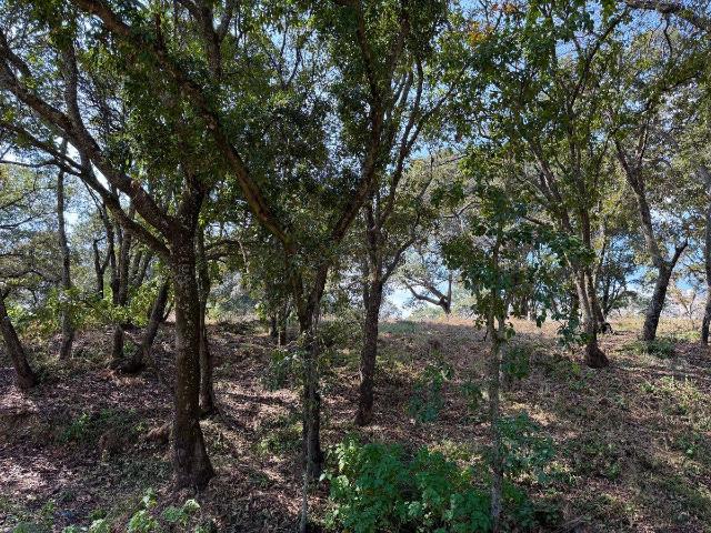 TERRENO EN VENTA EN VILLA DEL CARBON LOTE 6, MZ 16, FRACCIONAMIENTO CAMPESTRE
