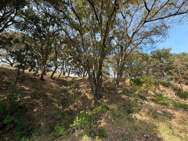 TERRENO EN VENTA EN VILLA DEL CARBON LOTE 6, MZ 16, FRACCIONAMIENTO CAMPESTRE