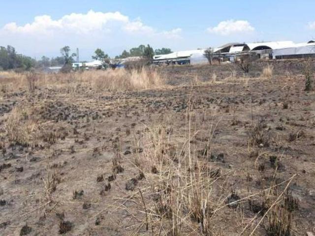 Terreno en Venta en Villa Guerrero – ¡Oportunidad Única para Desarrolladores!