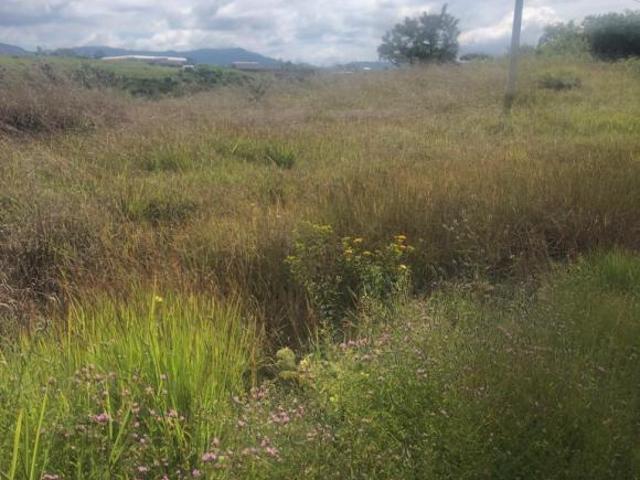 Terreno en venta en Villa Guerrero
