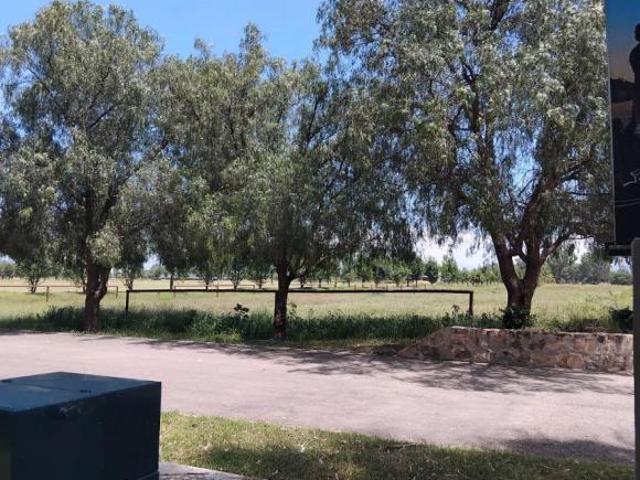 TERRENO EN VENTA EN VIÑEDOS DEL POLO, EL MARQUES QUERETARO