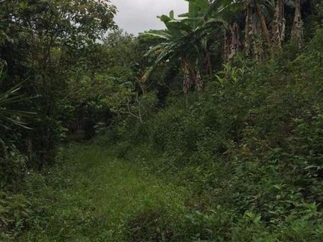Terreno en venta en Xalapa zona USBI Colonia Emiliano Zapata 12584m2