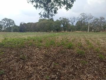Terreno en venta en Xolalpa, Papalotla de Xicohténcatl, Tlaxcala
