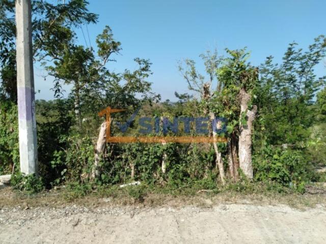 Terreno en venta en Yanga, Poza Rica de Hidalgo, Veracruz de Ignacio de la Llave