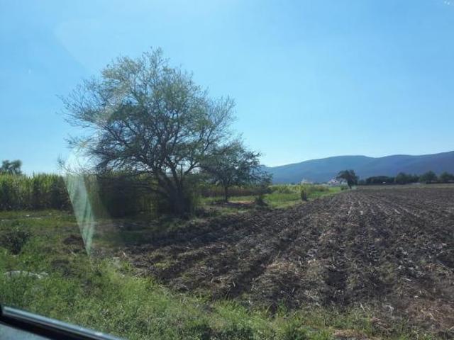 TERRENO EN VENTA EN YAUTEPEC MORELOS