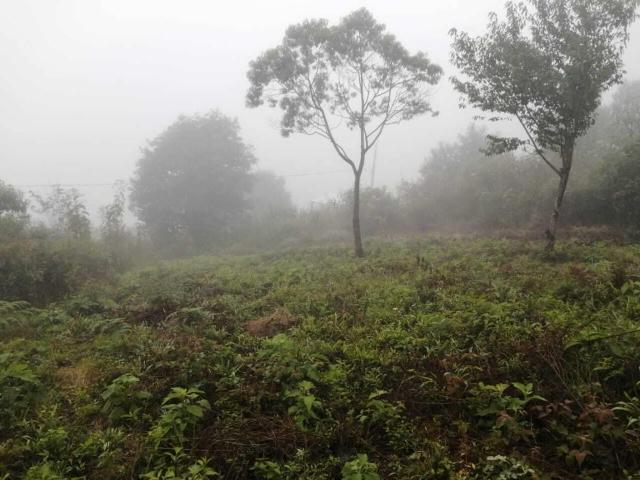 Terreno en venta en Zacualpan de Ecatepec, San Cristóbal de las Casas, Chiapas
