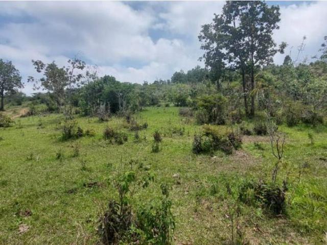 Terreno en venta en Zacualpan de Ecatepec, San Cristóbal de las Casas, Chiapas