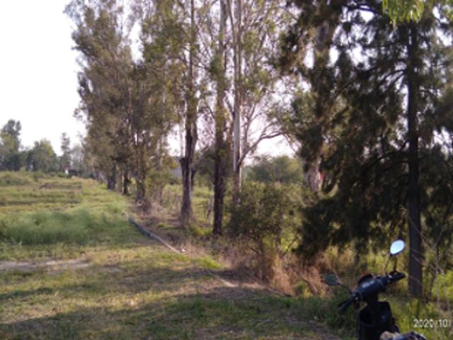 Terreno en venta en Zapote del Valle, Tlajomulco de Zúñiga, Jalisco