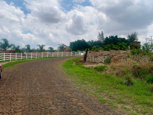 TERRENO EN VENTA EN ZAPOTLANEJO LA JOYA GRANDE