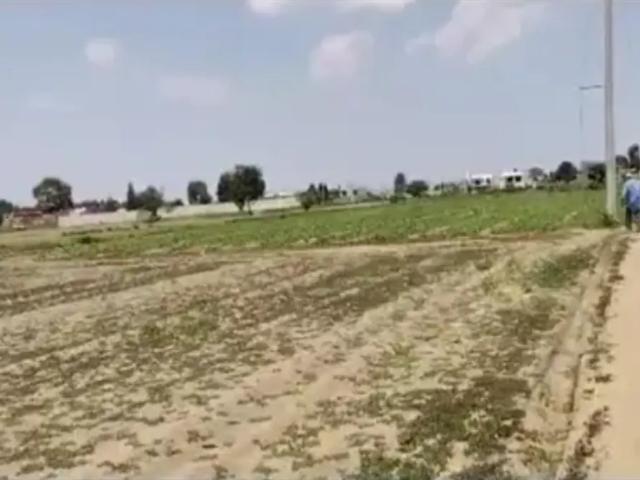 Terreno en venta en Zerezotla, San Pedro Cholula, Puebla