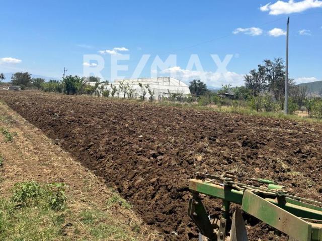 Terreno en venta en Zimatlán de Álvarez, ubicado cerca de la zona urbana