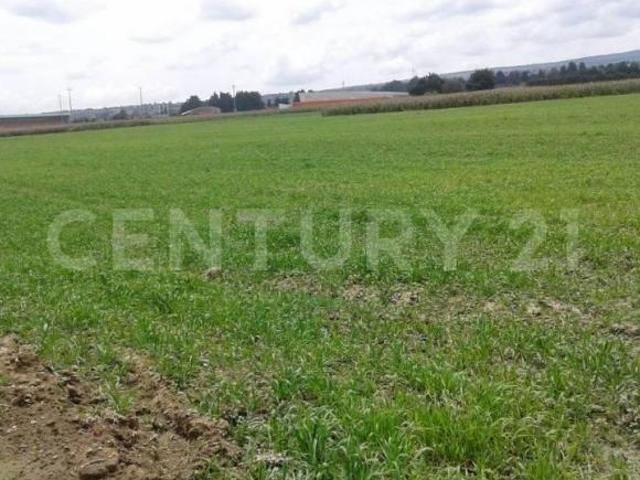Terreno en Venta en Zinacantepec