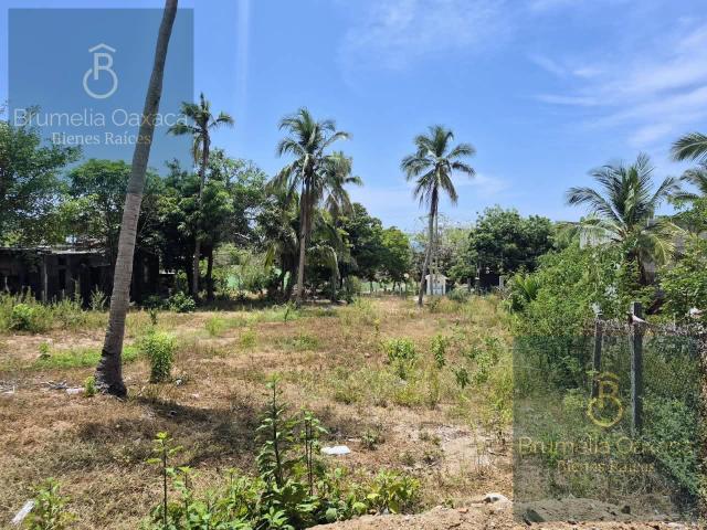 Terreno en venta en Zipolite, Oaxaca