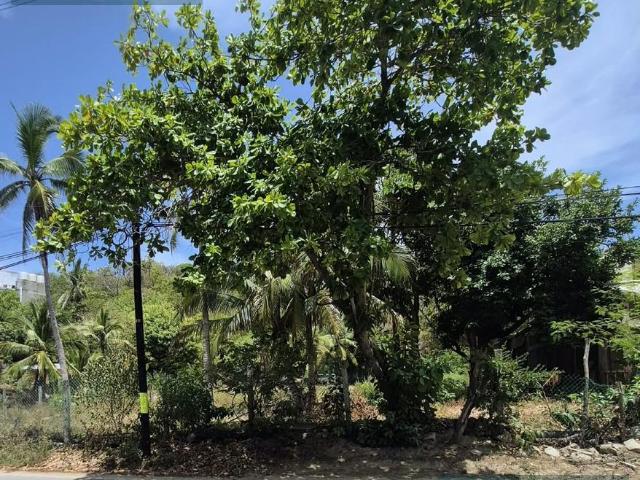 Terreno en venta en Zipolite, Oaxaca