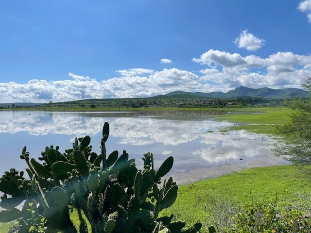 Terreno en Venta en zona de Taponas y El Vegil