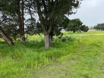Terreno en venta en 10 de Mayo, Tlaxcala Apizaco