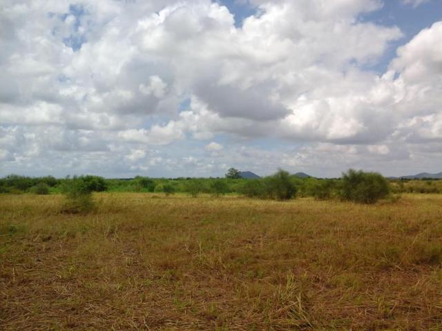 Terreno en venta en 22 de Junio, Navolato, Sinaloa