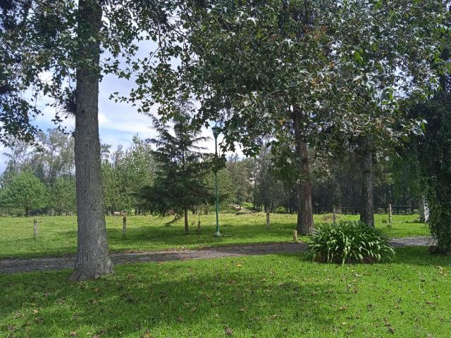Terreno en venta en 3 de Mayo, Xalapa, Veracruz de Ignacio de la Llave