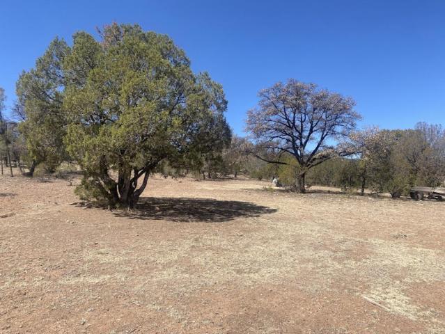 Terreno en venta en 6 de Enero, Cuauhtémoc, Chihuahua