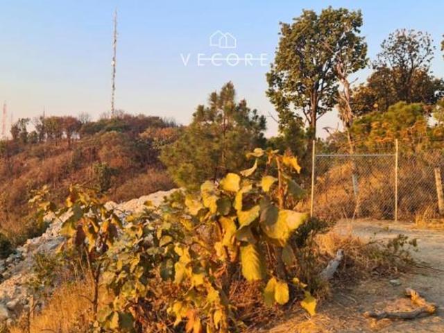 TERRENO EN VENTA, ENTRE PALOMAR Y BUGAMBILIAS, ZAPOPAN