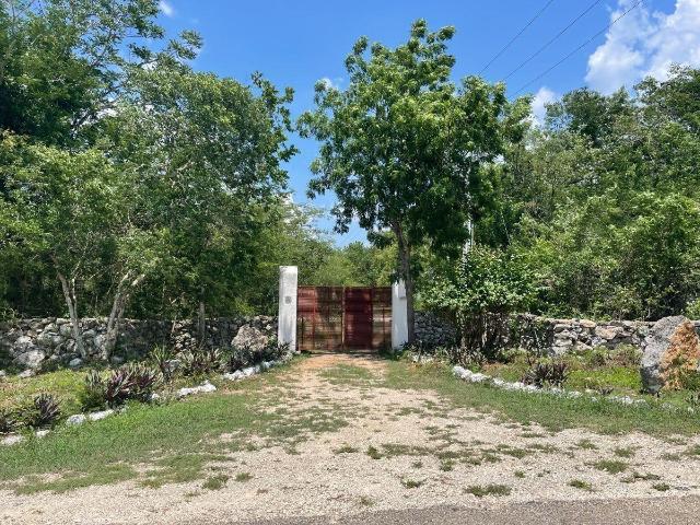 Terreno en Venta, Finca Tecoh, a 1km de Itzincab de C?mara. Yucat?n