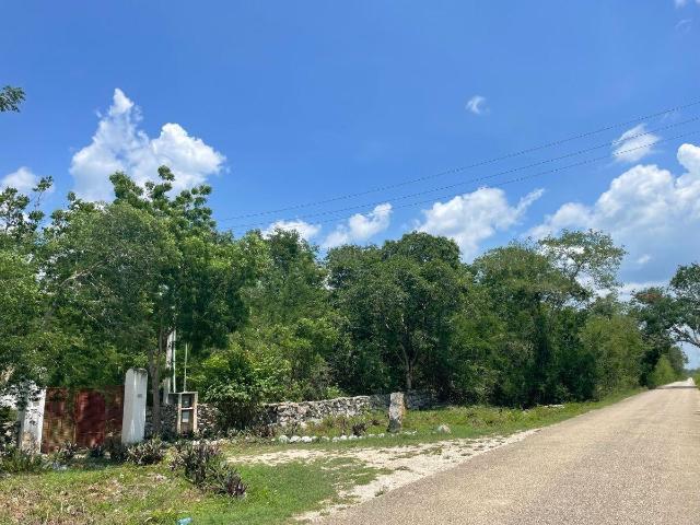 Terreno en Venta, Finca Tecoh, a 1km de Itzincab de C?mara. Yucat?n