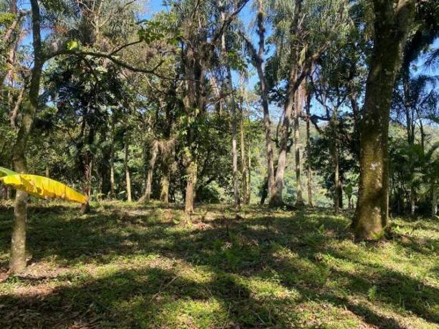 TERRENO SUP. 1,334 M2 CON EXCELENTE VISTA AL PUENTE DE METLAC, FORTIN, VER
