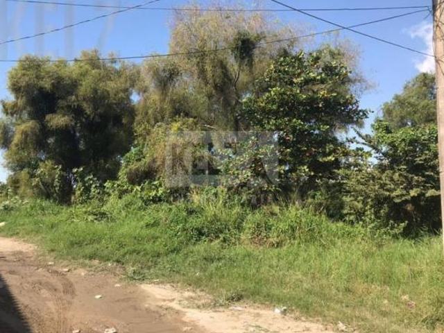 Terreno en Venta, Fracc. Jardines de Champayan