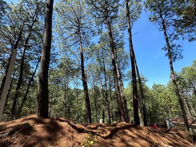 Terreno en Venta, Fracc. Las Azaleas en Mazamitla, Jalisco