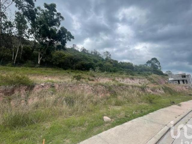Terreno en Venta Fraccionamiento Arboledas, Tres Marías