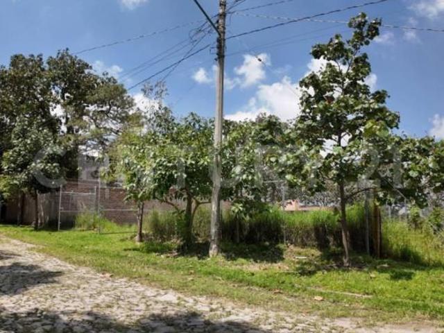 Terreno en Venta, Fraccionamiento, Colinas de Rio Blanco, Zapopan, Jal