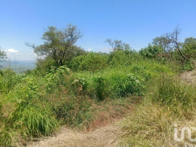Terreno en venta Fraccionamiento Lomas de Real, Tepatitlán, Jalisco