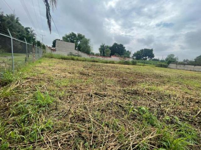 Terreno en venta Fraccionamiento Los Sauces