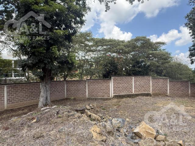 Terreno en Venta Fraccionamiento Paseo de la Reina