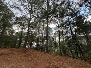 TERRENO EN VENTA FRACCIONAMIENTO PINOS MAZAMITLA JALISCO