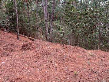 TERRENO EN VENTA FRACCIONAMIENTO PINOS MAZAMITLA JALISCO