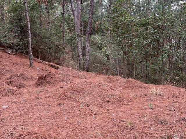 TERRENO EN VENTA FRACCIONAMIENTO PINOS MAZAMITLA JALISCO