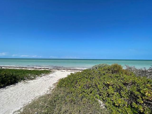 Terreno en venta frente al mar en Chicxulub Puerto 20 Metros Lineales