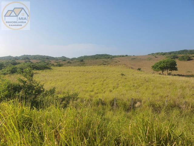Terreno en venta frente al Rancho EL cocal Alvarado Veracruz