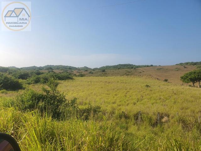 Terreno en venta frente al Rancho EL cocal Alvarado Veracruz