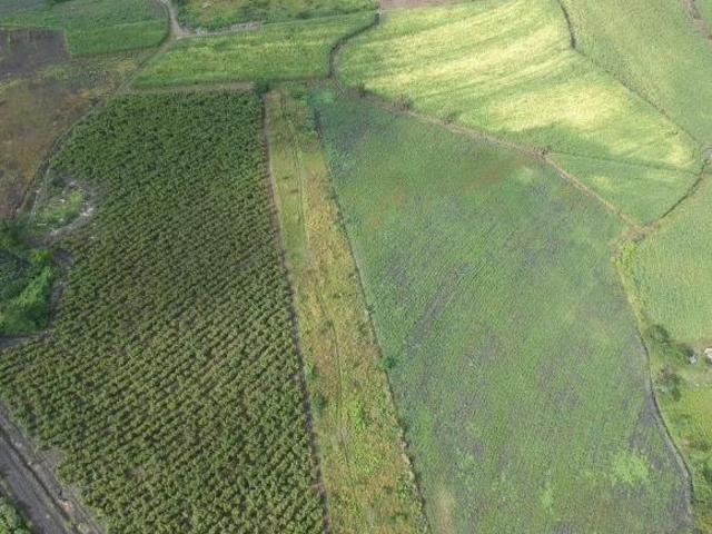 Terreno en venta Gabriel Tepepa, Tlaquiltenango, Morelos