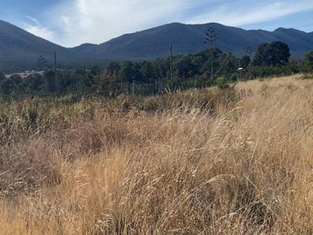 TERRENO EN VENTA HUACHICHIL