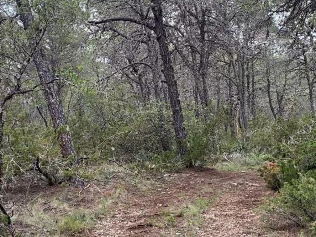 TERRENO EN VENTA HUACHICHIL