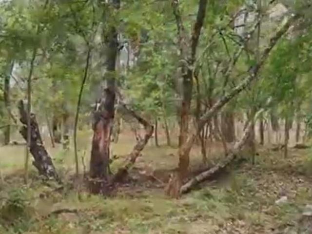 Terreno en Venta Huasca Hidalgo