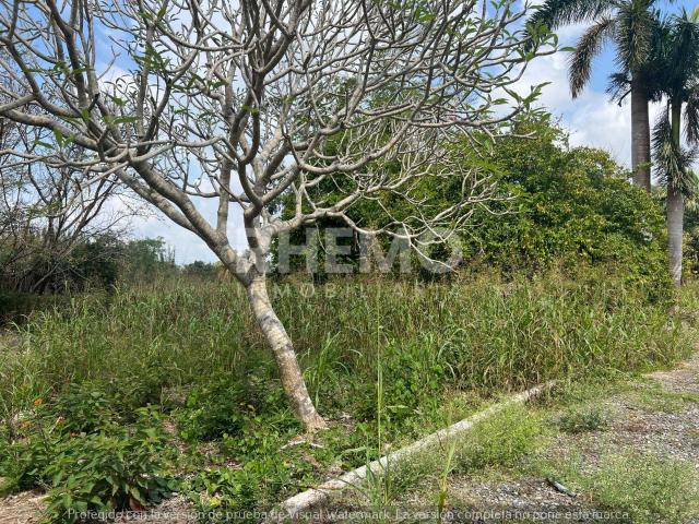 Terreno en Venta, Huerto del Bamb?, Juana Moza, Tuxpan, Ver