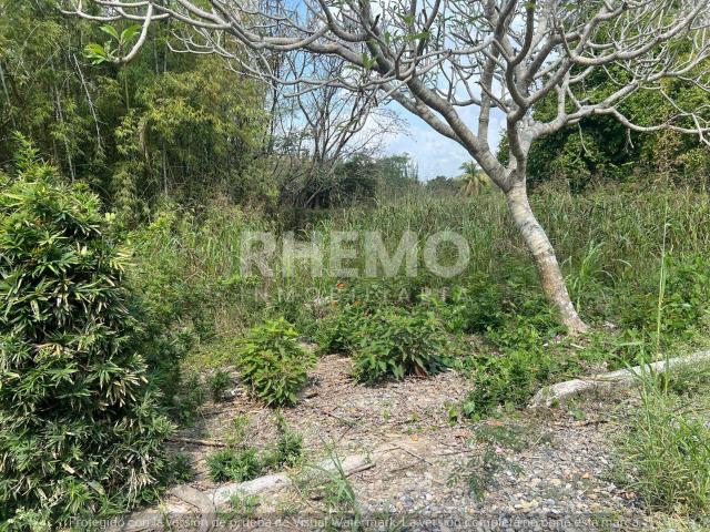 Terreno en Venta, Huerto del Bamb?, Juana Moza, Tuxpan, Ver