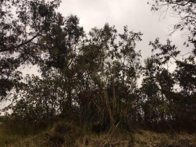 TERRENO EN VENTA HUIXQUILUCAN